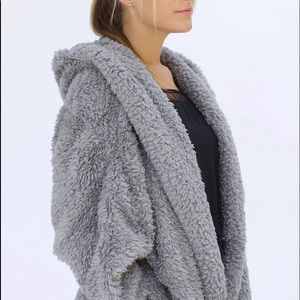 Grey Kitten Nordic Beach